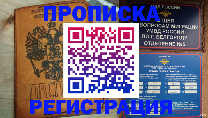 прописка для работы в Шали